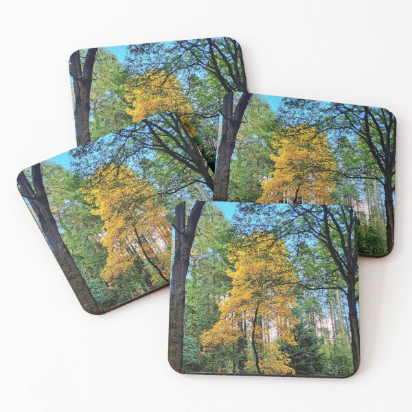 Item preview, Autumnal Tree designed and sold by AnthonyThomas.