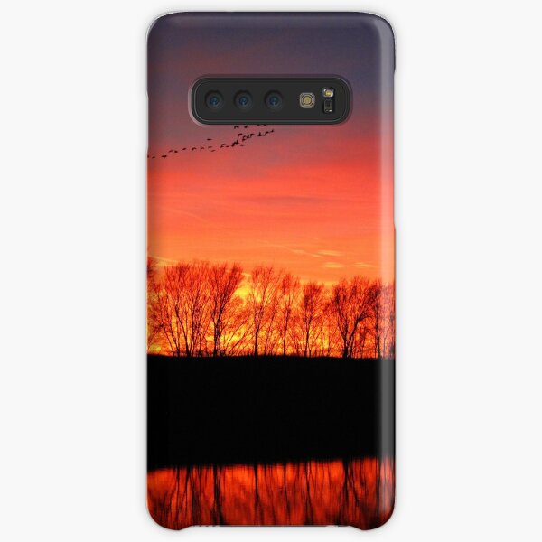 Migration Samsung Galaxy Snap Case
