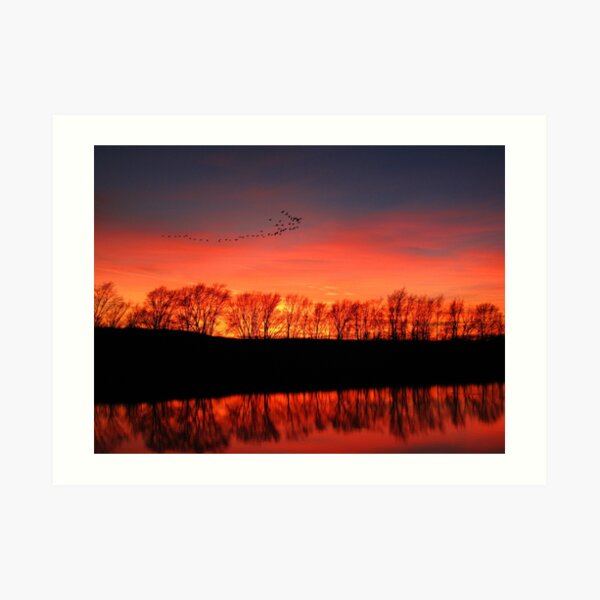 Migration Art Print