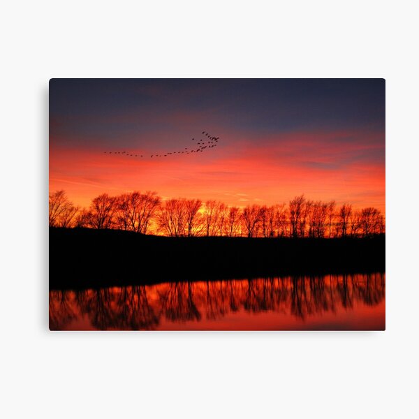 Migration Canvas Print