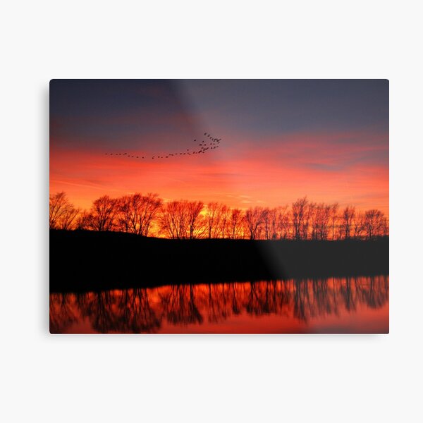 Migration Metal Print