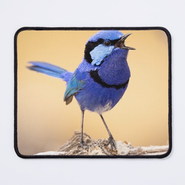Item preview, Singing the Blues designed and sold by Peter Caddy.