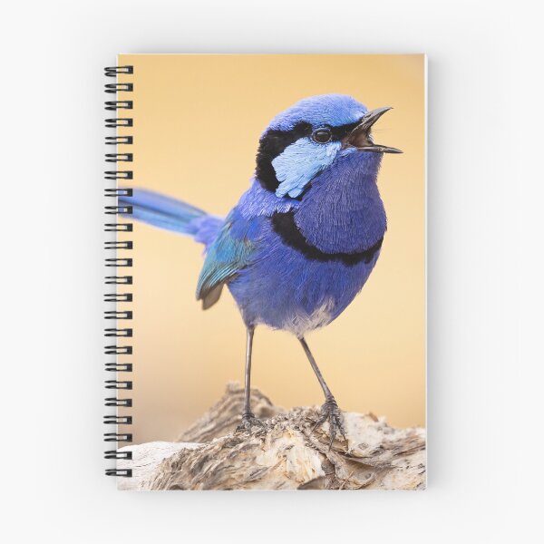 Item preview, Singing the Blues designed and sold by Peter Caddy.