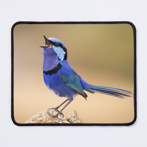 Item preview, Blues Singer designed and sold by Peter Caddy.