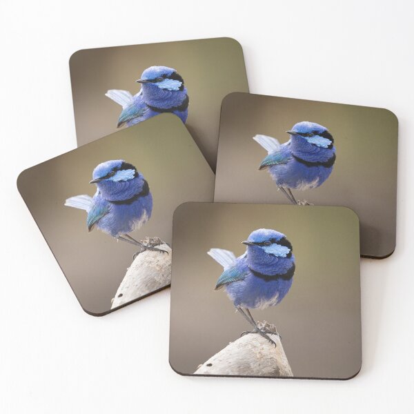 Item preview, Cuteness in Blue designed and sold by Peter Caddy.