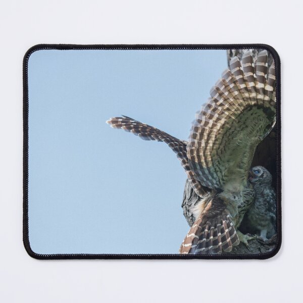 Item preview, Feeding on the fly designed and sold by Puttaswamy Ravishankar.
