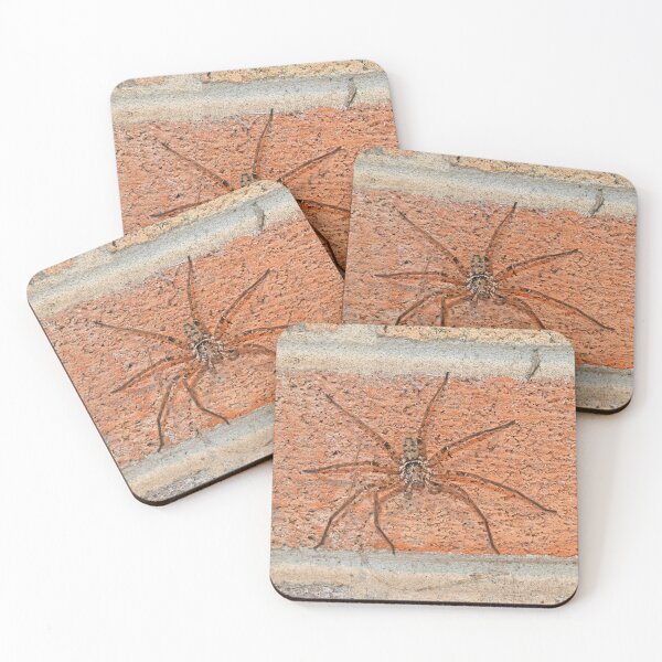 Item preview, Huntsman spider designed and sold by Doug Cliff.