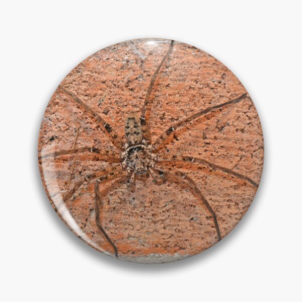 Item preview, Huntsman spider designed and sold by Doug Cliff.