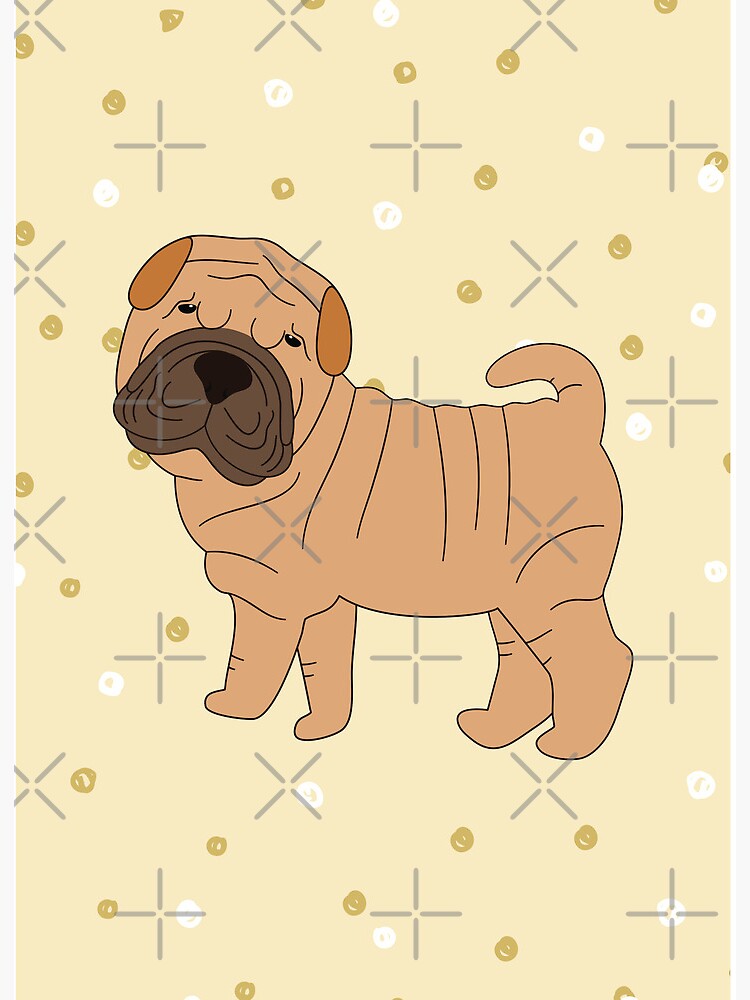 Shar Pei Puppy Light Red Fawn 2