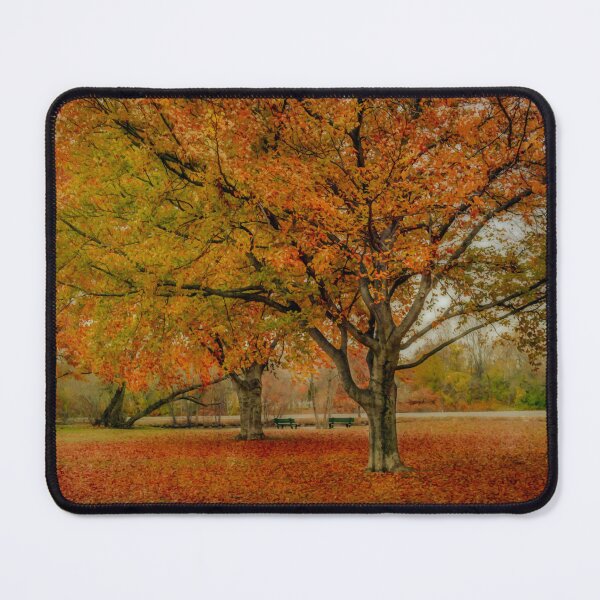 Item preview, Newengland Colorful November. designed and sold by LudaNayvelt.