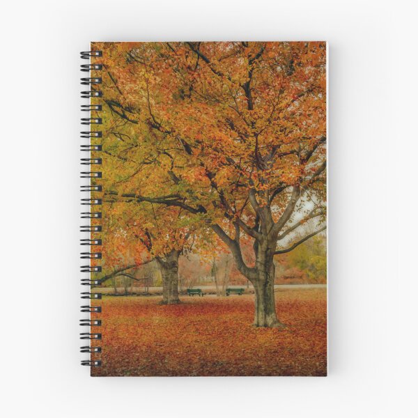 Item preview, Newengland Colorful November. designed and sold by LudaNayvelt.
