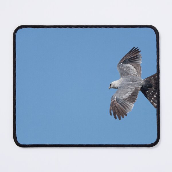 Item preview, Mississippi kite and Blue Sky designed and sold by Puttaswamy Ravishankar.