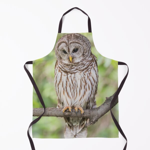 Item preview, Keen Observant designed and sold by Puttaswamy Ravishankar.