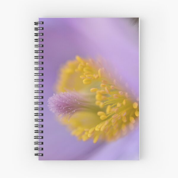 Item preview, Pasqueflower designed and sold by Jasminka.