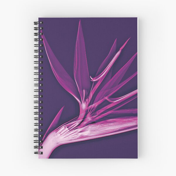 Item preview, Flower in violet and pink, Strelizia designed and sold by Lanuma.