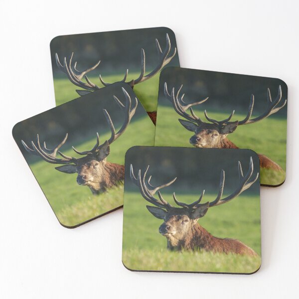 Item preview, Stag Resting In The Green Grass designed and sold by rawshutterbug.