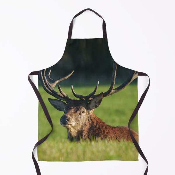 Item preview, Stag Resting In The Green Grass designed and sold by rawshutterbug.