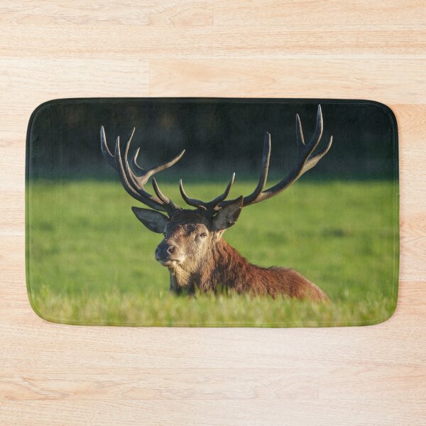 Item preview, Stag Resting In The Green Grass designed and sold by rawshutterbug.