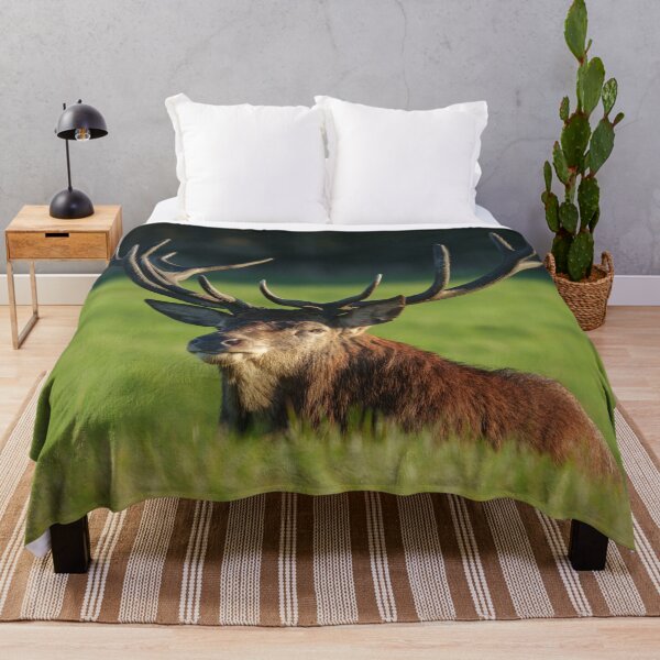 Item preview, Stag Resting In The Green Grass designed and sold by rawshutterbug.
