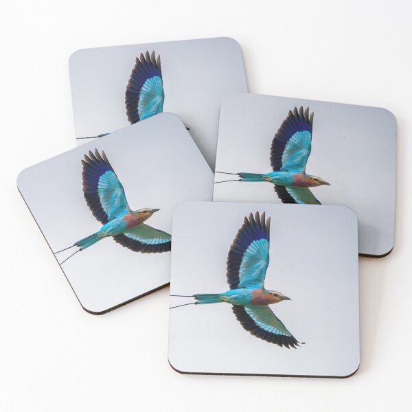 Item preview, Lilac Breasted Roller In Flight designed and sold by Wild Images.