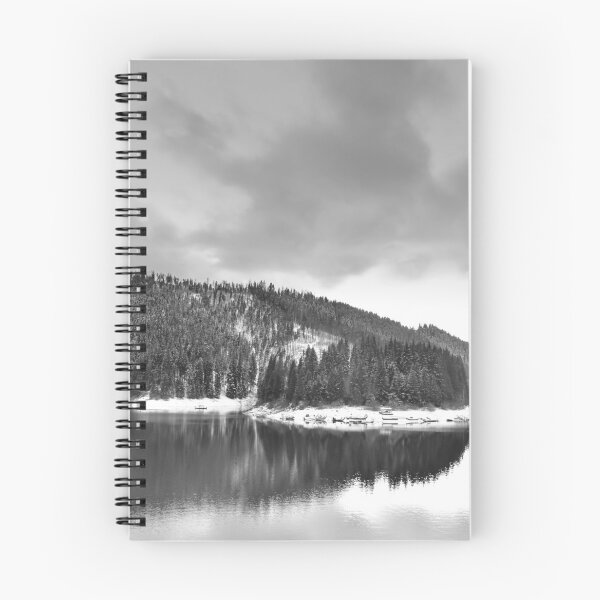 Aperçu de l'œuvre Réflexion noire et blanche de lac d'hiver dans les montagnes créée et vendue par Landscapeaway.