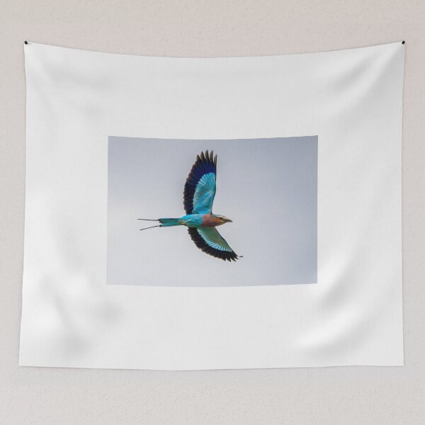 Item preview, Lilac Breasted Roller In Flight designed and sold by Wild Images.