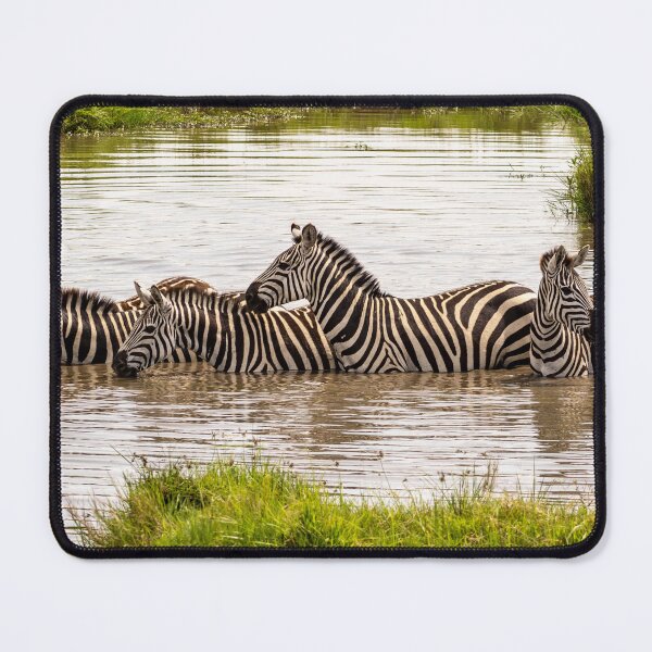 Item preview, Zebra Bath designed and sold by Wild Images.