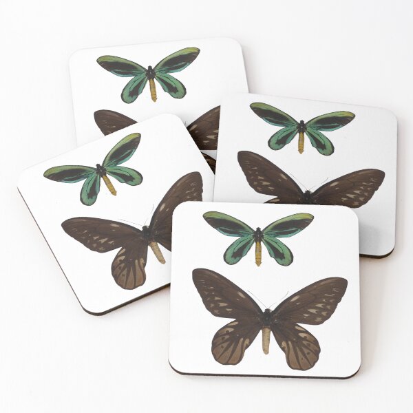 Item preview, Ornithoptera alexandrae / Queen Alexandra's Birdwing  designed and sold by Entomologist.