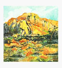 Joshua Tree Sunset Photographic Print