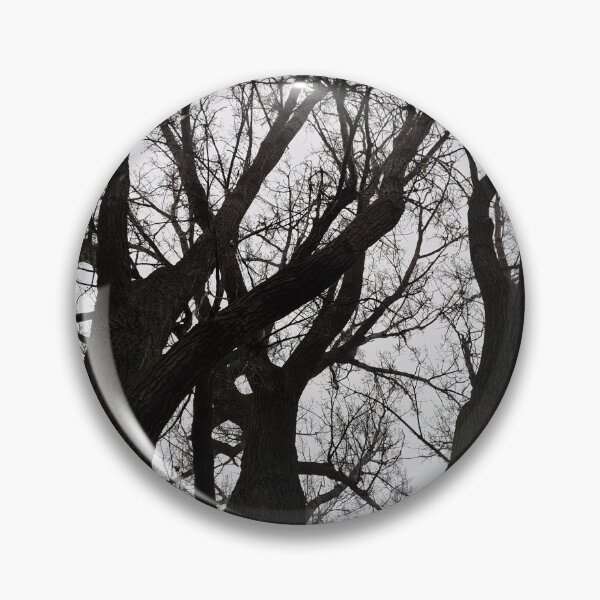 Item preview, Autumn Trees "Nature Photography" designed and sold by Istvan Ocztos.