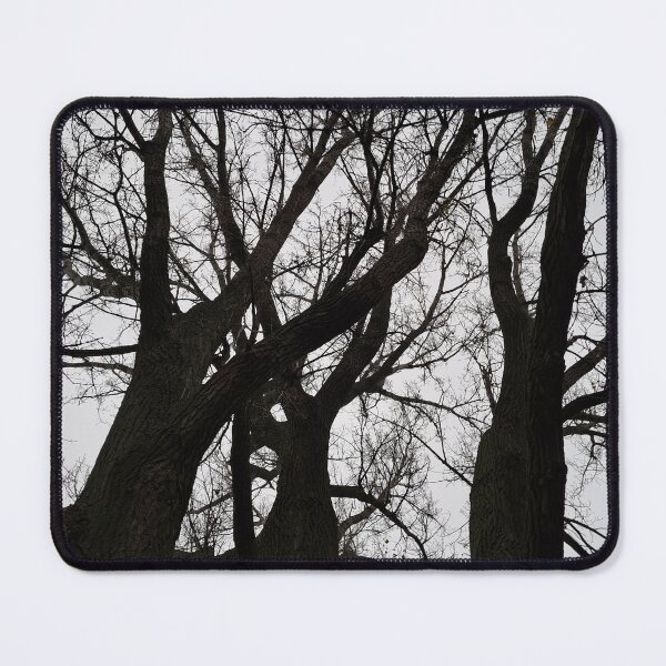 Item preview, Autumn Trees "Nature Photography" designed and sold by Istvan Ocztos.