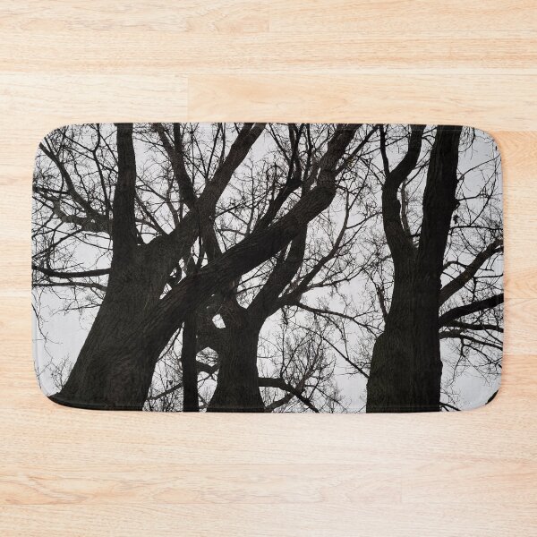 Item preview, Autumn Trees "Nature Photography" designed and sold by Istvan Ocztos.