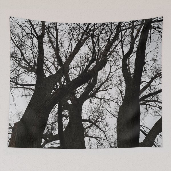Item preview, Autumn Trees "Nature Photography" designed and sold by Istvan Ocztos.