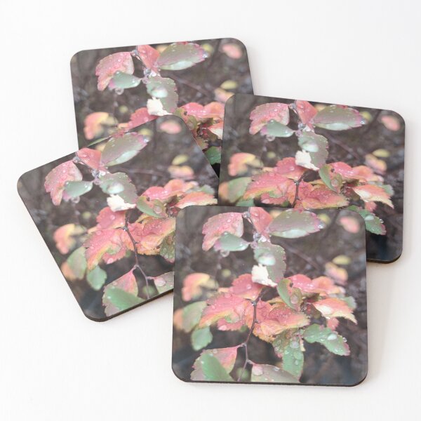 Item preview, Rainy leaves with cute raindrops designed and sold by tshuki.