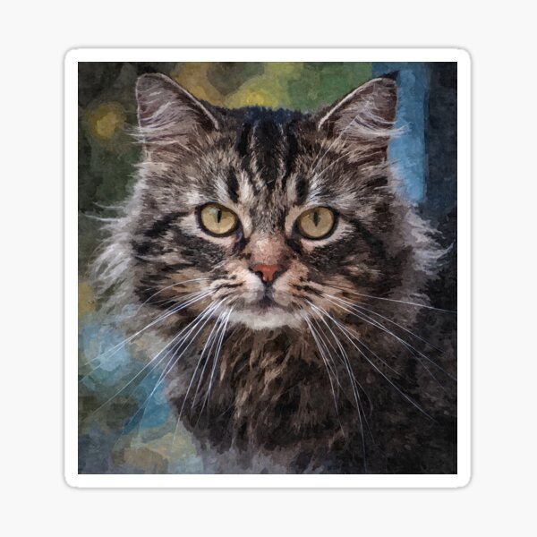 "Siberian cat digital drawing" Sticker for Sale by Lacasadellora ...