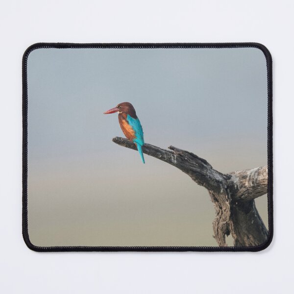 Item preview, White-throated Kingfisher designed and sold by Puttaswamy Ravishankar.