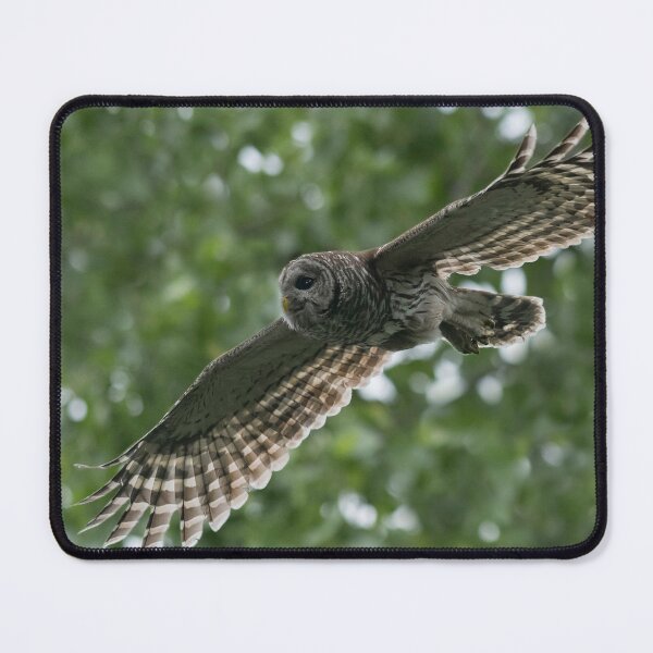 Item preview, Magic Flight designed and sold by Puttaswamy Ravishankar.