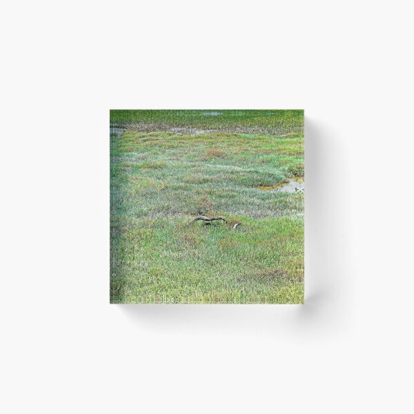 Item preview, SF Bay's Edge  designed and sold by Robert Meyers-Lussier.