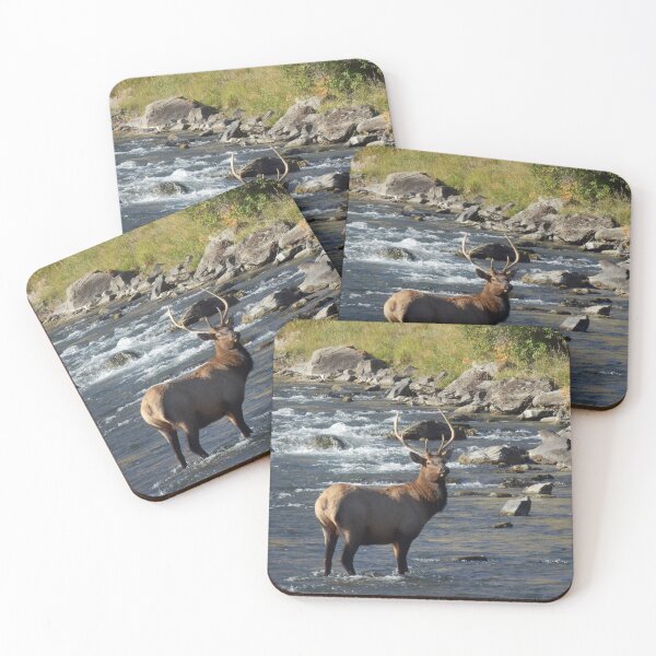 Item preview, Yellowstone Bull Elk designed and sold by catrantula.