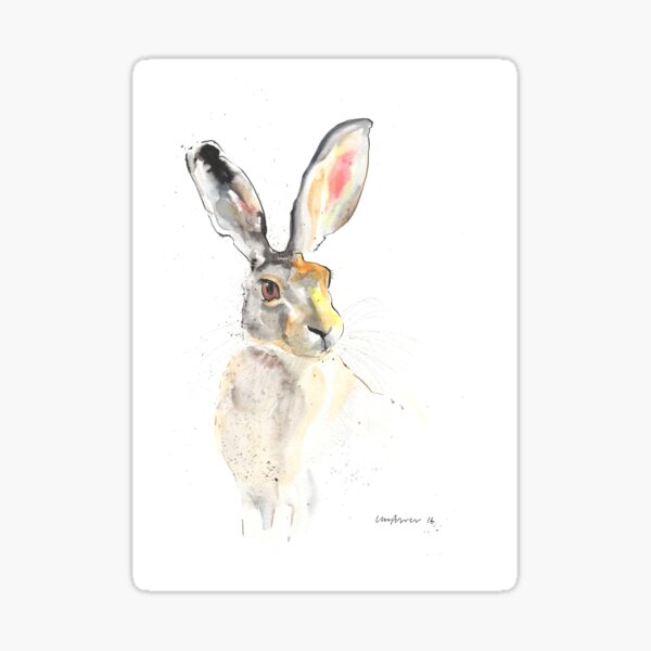 Listening Hare Sticker