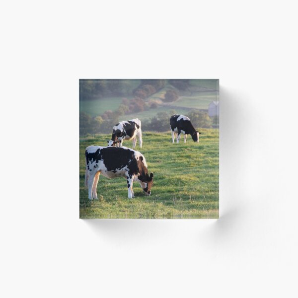 Item preview, Cows in a Field designed and sold by CRGamache.