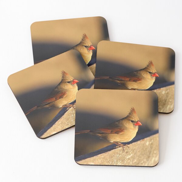 Item preview, Female Northern Cardinal in winter's golden sunlight designed and sold by Linda Crockett.