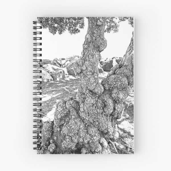 Item preview, SF Bay Tree Trunk Study 2  designed and sold by Robert Meyers-Lussier.