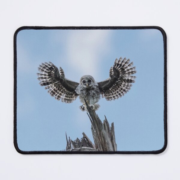 Item preview, I Believe I Can Fly designed and sold by Puttaswamy Ravishankar.