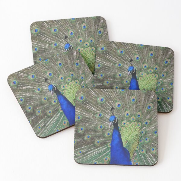 Item preview, Peacock displaying tail designed and sold by HAPhotography.