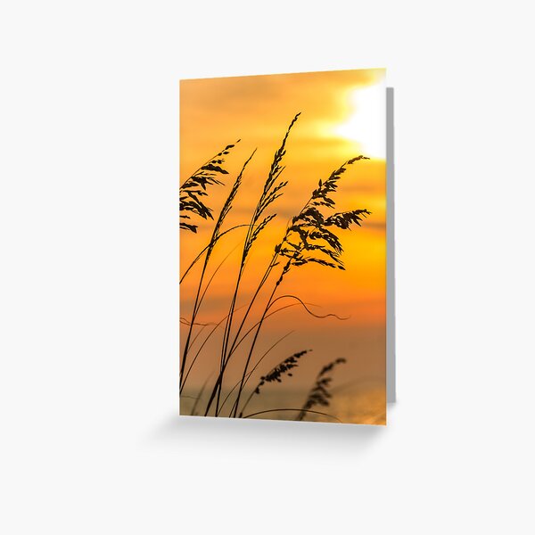 Item preview, Ocean Sunsets designed and sold by Southern  Departure.