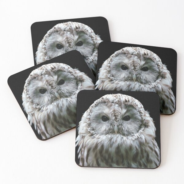 Item preview, Ural owl. Nocturnal owl on black background designed and sold by LubosChlubny.