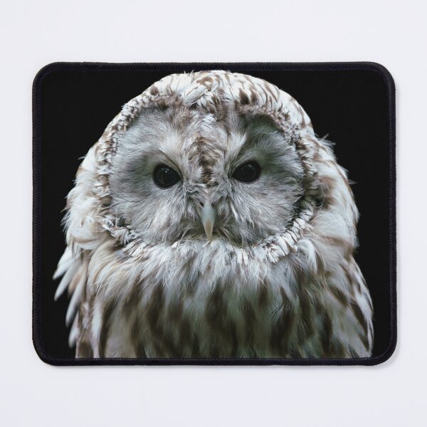 Item preview, Ural owl. Nocturnal owl on black background designed and sold by LubosChlubny.