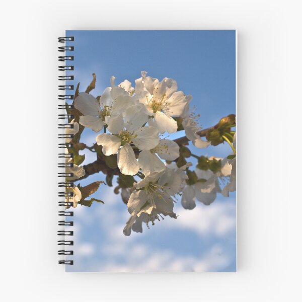 Item preview, Apple Blossoms designed and sold by Kathy Weaver.