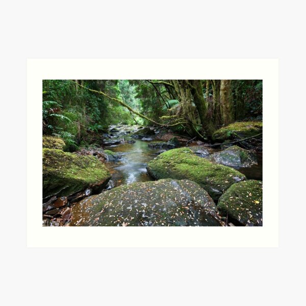 Nelson River Art Print